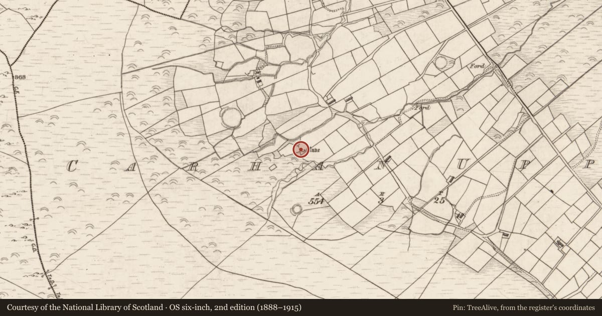 Ordnance Survey six-inch map, 2nd edition (1888–1915) covering the location of Hut site, Carhan Upper, County Kerry, with a pin at the register's coordinates