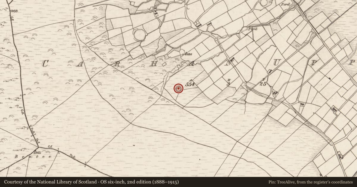 Ordnance Survey six-inch map, 2nd edition (1888–1915) covering the location of House - indeterminate date, Carhan Upper, County Kerry, with a pin at the register's coordinates