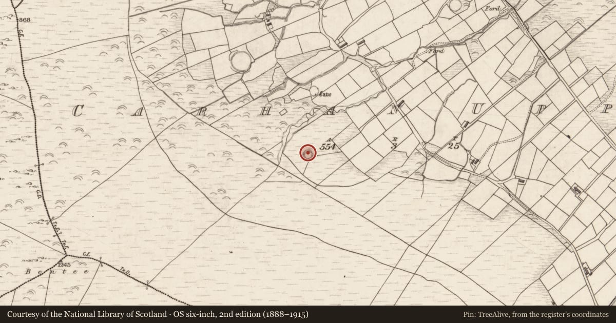 Ordnance Survey six-inch map, 2nd edition (1888–1915) covering the location of Souterrain, Carhan Upper, County Kerry, with a pin at the register's coordinates