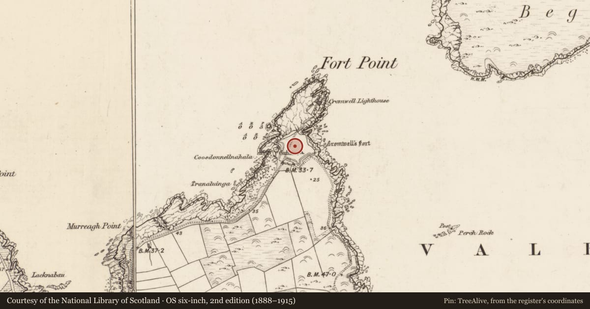 Ordnance Survey six-inch map, 2nd edition (1888–1915) covering the location of Bastioned fort, Glanleam, County Kerry, with a pin at the register's coordinates
