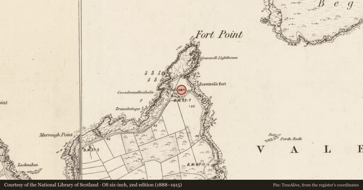 Ordnance Survey six-inch map, 2nd edition (1888–1915) covering the location of Standing stone, Glanleam, County Kerry, with a pin at the register's coordinates