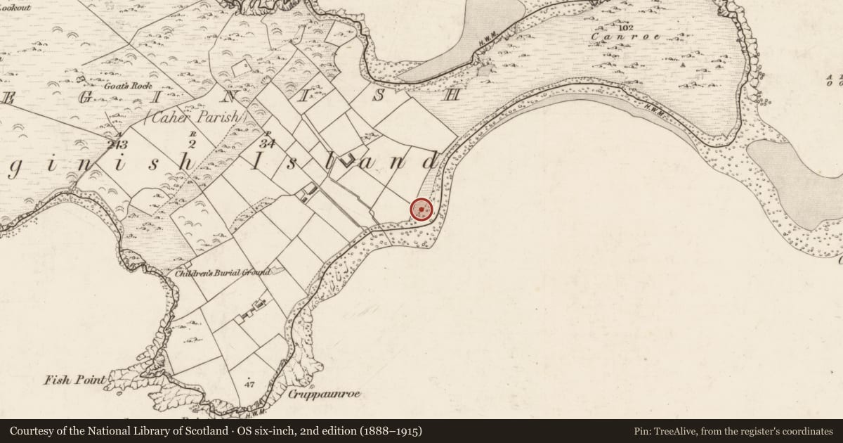 Ordnance Survey six-inch map, 2nd edition (1888–1915) covering the location of Enclosure, Beginish, County Kerry, with a pin at the register's coordinates