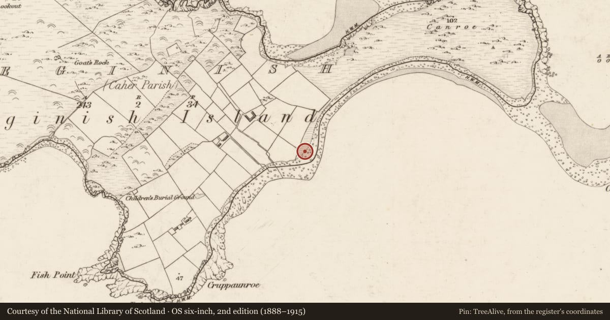Ordnance Survey six-inch map, 2nd edition (1888–1915) covering the location of Enclosure, Beginish, County Kerry, with a pin at the register's coordinates