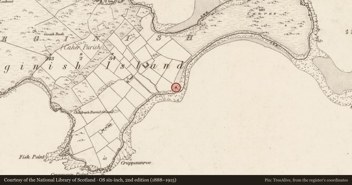 Ordnance Survey six-inch map, 2nd edition (1888–1915) covering the location of Enclosure, Beginish, County Kerry, with a pin at the register's coordinates