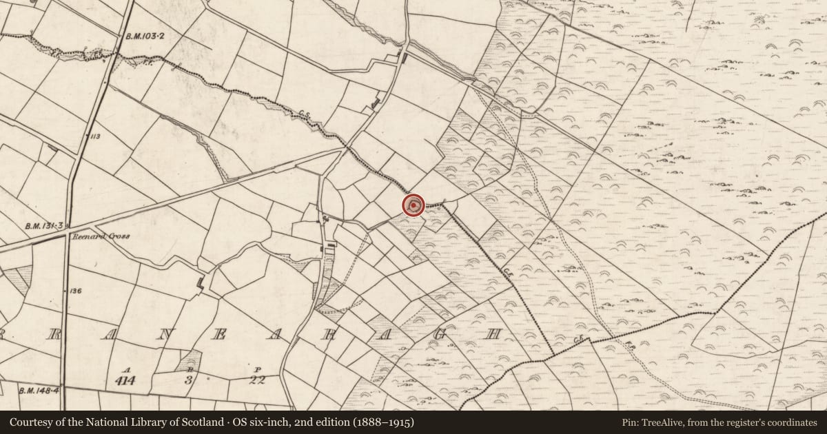 Ordnance Survey six-inch map, 2nd edition (1888–1915) covering the location of Ringfort - rath, Garranearagh, County Kerry, with a pin at the register's coordinates