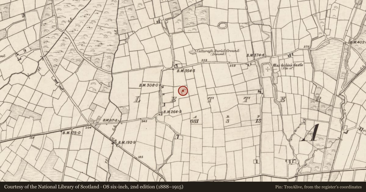 Ordnance Survey six-inch map, 2nd edition (1888–1915) covering the location of Hut site, Letter, County Kerry, with a pin at the register's coordinates