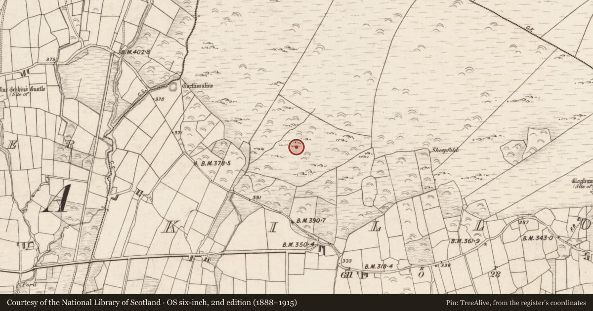 Ordnance Survey six-inch map, 2nd edition (1888–1915) covering the location of Souterrain, Killoe, County Kerry, with a pin at the register's coordinates