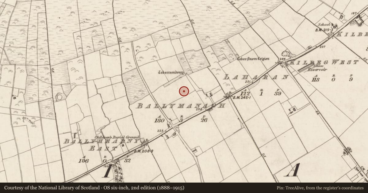 Ordnance Survey six-inch map, 2nd edition (1888–1915) covering the location of Enclosure, Ballymanagh, County Kerry, with a pin at the register's coordinates