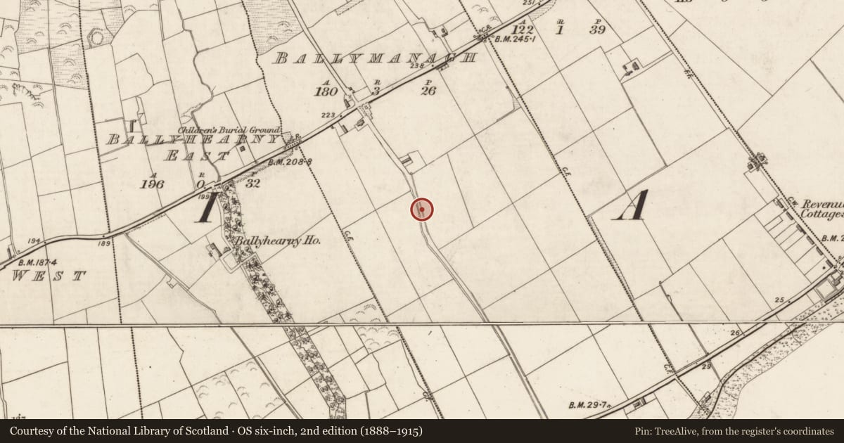 Ordnance Survey six-inch map, 2nd edition (1888–1915) covering the location of Hut site, Ballymanagh, County Kerry, with a pin at the register's coordinates