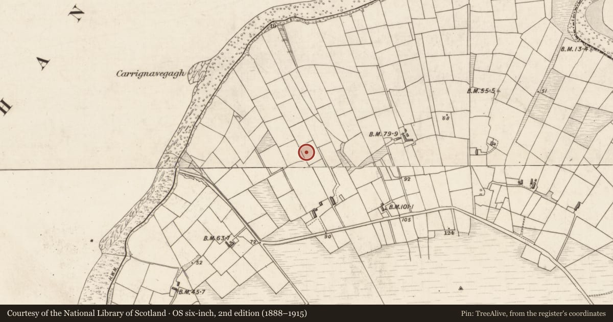 Ordnance Survey six-inch map, 2nd edition (1888–1915) covering the location of Children's burial ground, Ardcost, County Kerry, with a pin at the register's coordinates