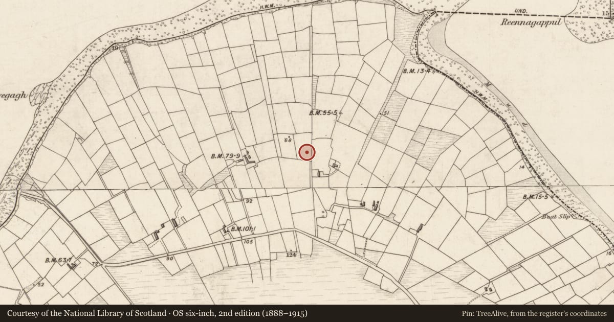 Ordnance Survey six-inch map, 2nd edition (1888–1915) covering the location of Souterrain, Ardcost, County Kerry, with a pin at the register's coordinates