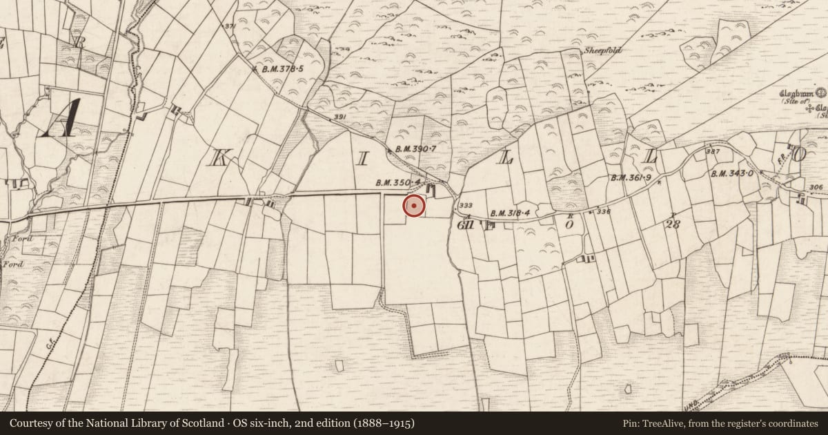 Ordnance Survey six-inch map, 2nd edition (1888–1915) covering the location of Church, Killoe, County Kerry, with a pin at the register's coordinates