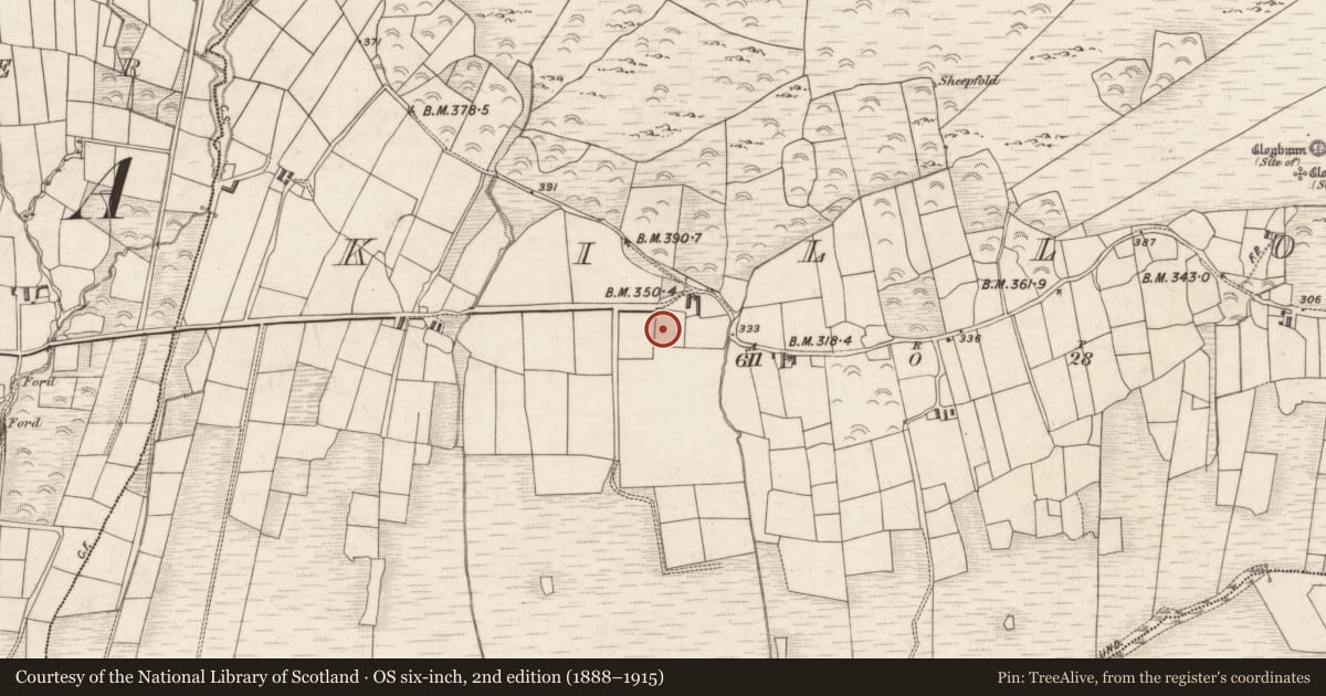 Ordnance Survey six-inch map, 2nd edition (1888–1915) covering the location of Bullaun stone, Killoe, County Kerry, with a pin at the register's coordinates
