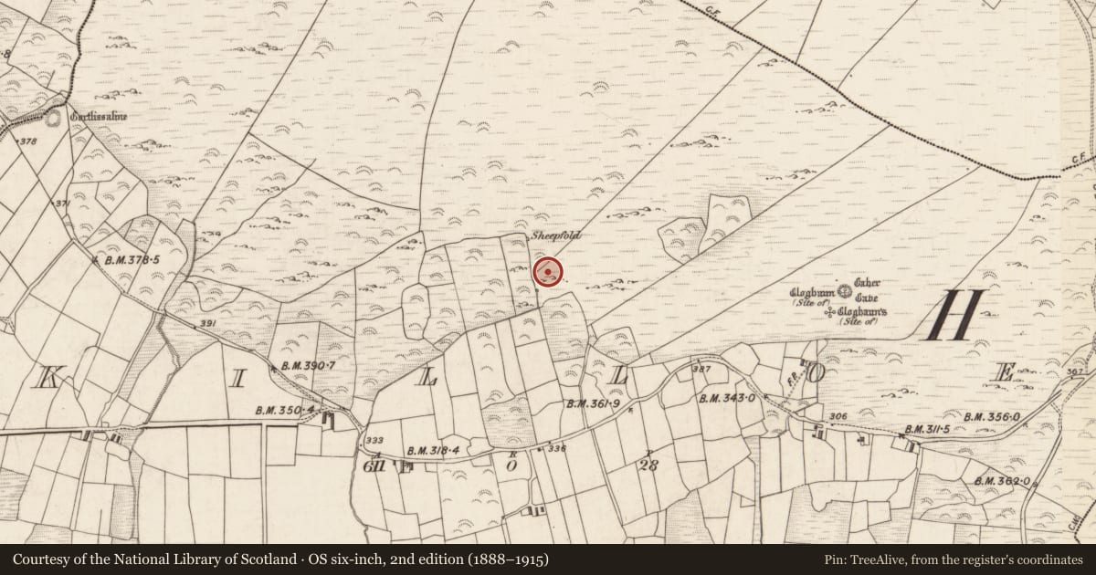 Ordnance Survey six-inch map, 2nd edition (1888–1915) covering the location of Hut site, Killoe, County Kerry, with a pin at the register's coordinates