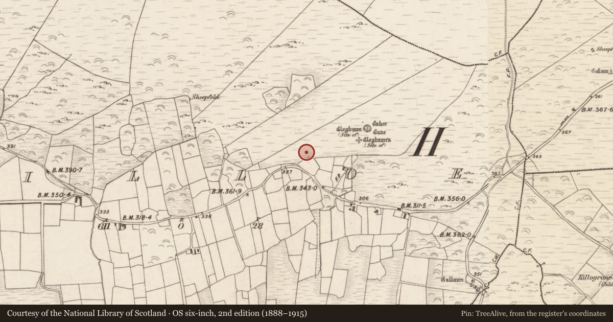 Ordnance Survey six-inch map, 2nd edition (1888–1915) covering the location of Hut site, Killoe, County Kerry, with a pin at the register's coordinates