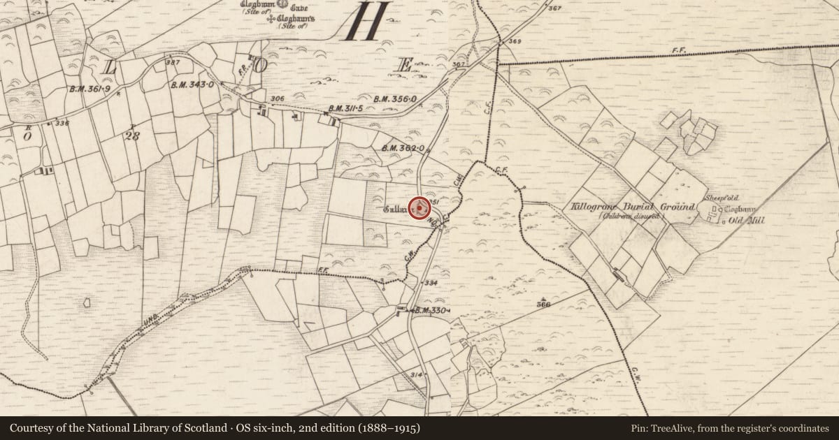Ordnance Survey six-inch map, 2nd edition (1888–1915) covering the location of Ringfort - rath, Killoe, County Kerry, with a pin at the register's coordinates