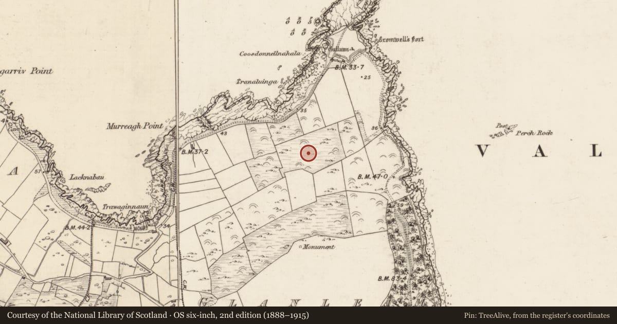Ordnance Survey six-inch map, 2nd edition (1888–1915) covering the location of Enclosure, Glanleam, County Kerry, with a pin at the register's coordinates
