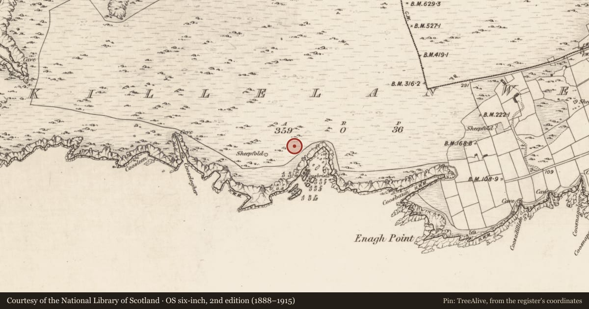 Ordnance Survey six-inch map, 2nd edition (1888–1915) covering the location of Hut site, Killelan West, County Kerry, with a pin at the register's coordinates