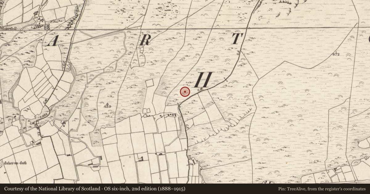Ordnance Survey six-inch map, 2nd edition (1888–1915) covering the location of Hut site, Kimego East, County Kerry, with a pin at the register's coordinates