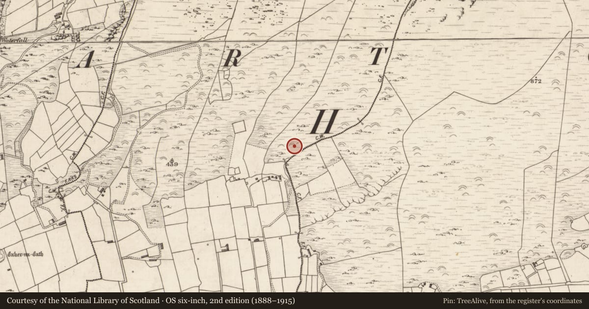 Ordnance Survey six-inch map, 2nd edition (1888–1915) covering the location of Field boundary, Kimego East, County Kerry, with a pin at the register's coordinates