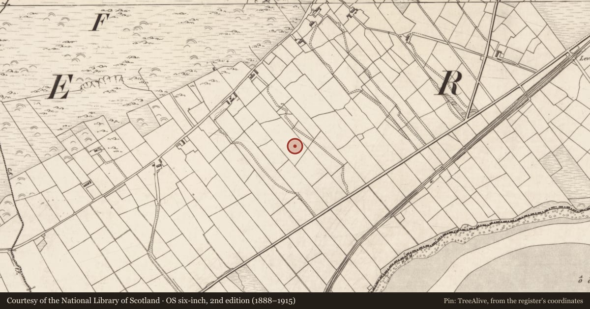 Ordnance Survey six-inch map, 2nd edition (1888–1915) covering the location of Souterrain, Cloghanelinaghan, County Kerry, with a pin at the register's coordinates