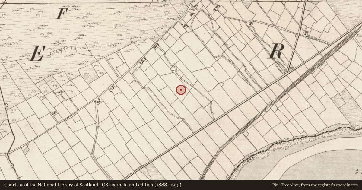 Ordnance Survey six-inch map, 2nd edition (1888–1915) covering the location of Hut site, Cloghanelinaghan, County Kerry, with a pin at the register's coordinates