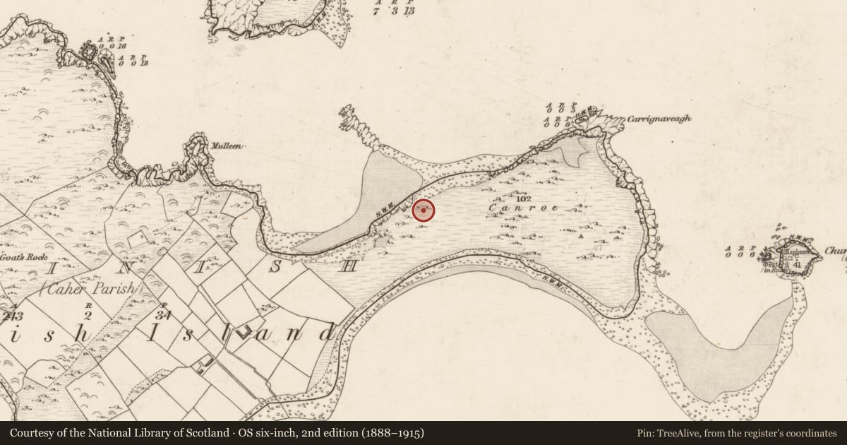 Ordnance Survey six-inch map, 2nd edition (1888–1915) covering the location of Metalworking site, Beginish, County Kerry, with a pin at the register's coordinates
