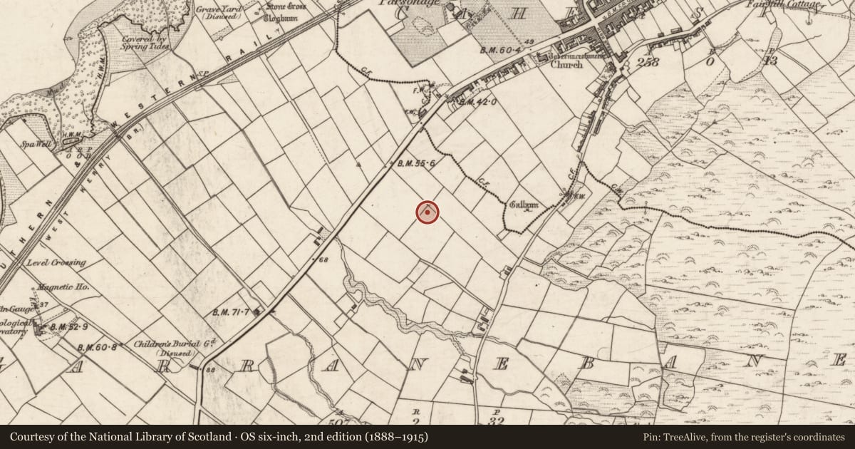 Ordnance Survey six-inch map, 2nd edition (1888–1915) covering the location of Castle - unclassified, Garranebane, County Kerry, with a pin at the register's coordinates