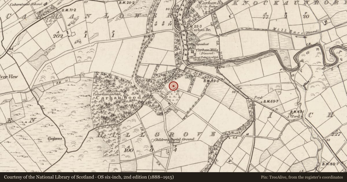 Ordnance Survey six-inch map, 2nd edition (1888–1915) covering the location of Barrow - ring-barrow, Hillgrove, County Kerry, with a pin at the register's coordinates