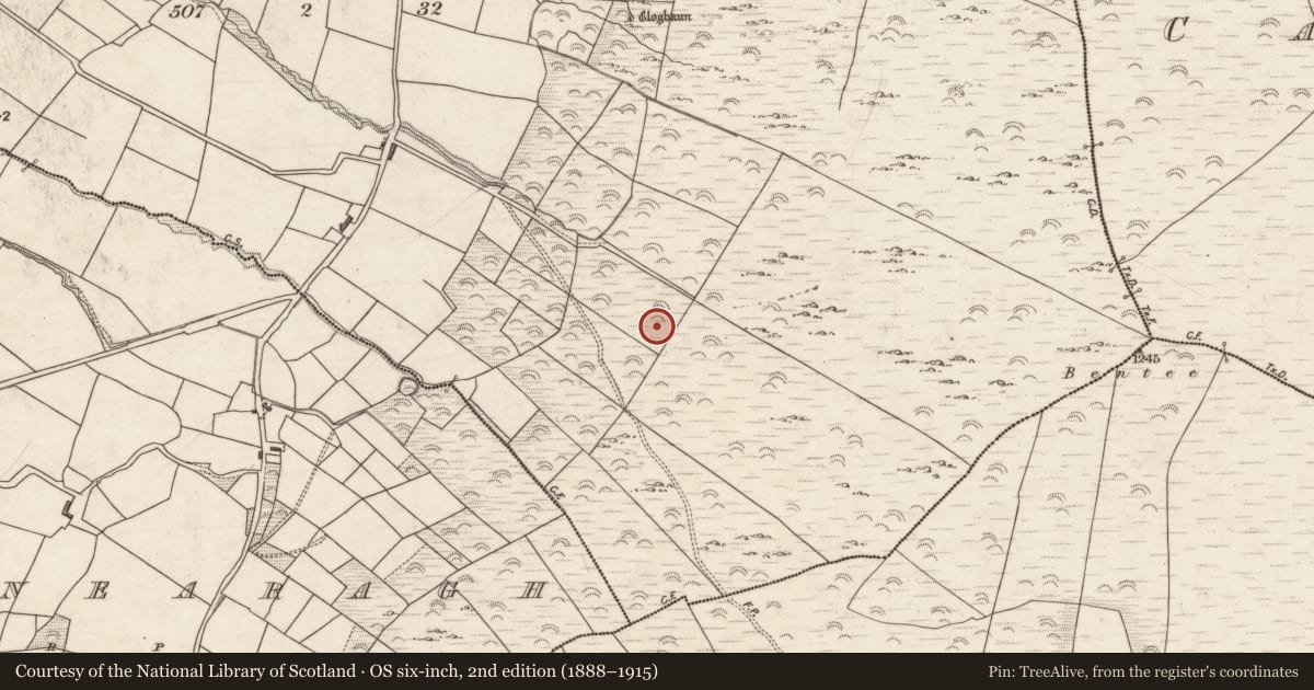 Ordnance Survey six-inch map, 2nd edition (1888–1915) covering the location of Hut site, Garranebane, County Kerry, with a pin at the register's coordinates