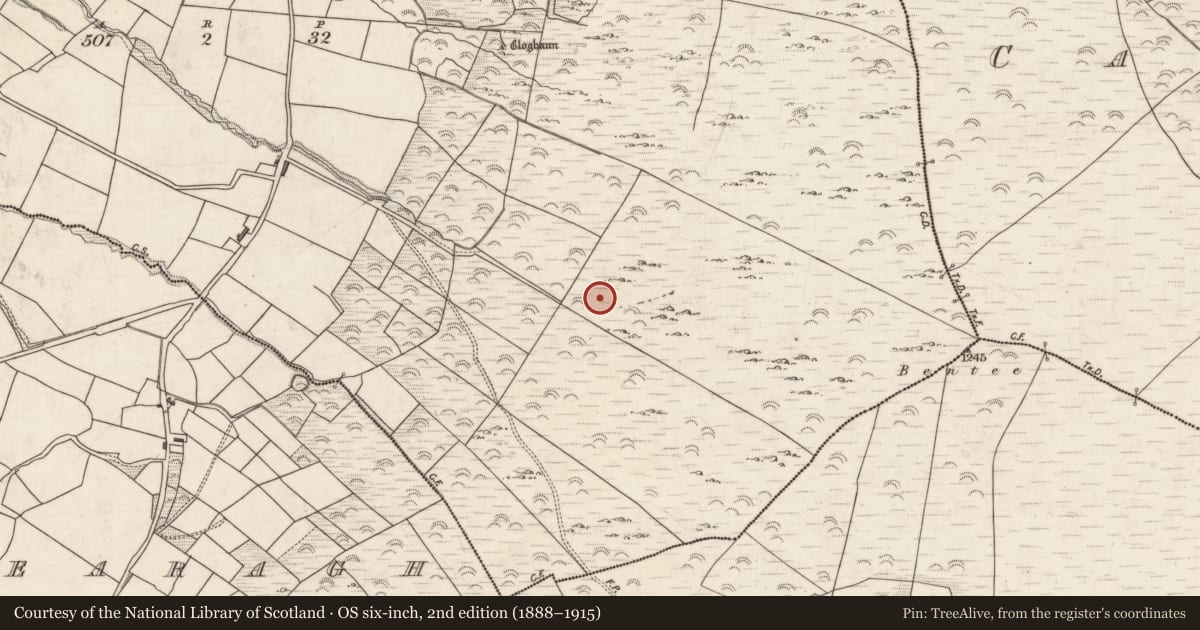 Ordnance Survey six-inch map, 2nd edition (1888–1915) covering the location of Hut site, Garranebane, County Kerry, with a pin at the register's coordinates