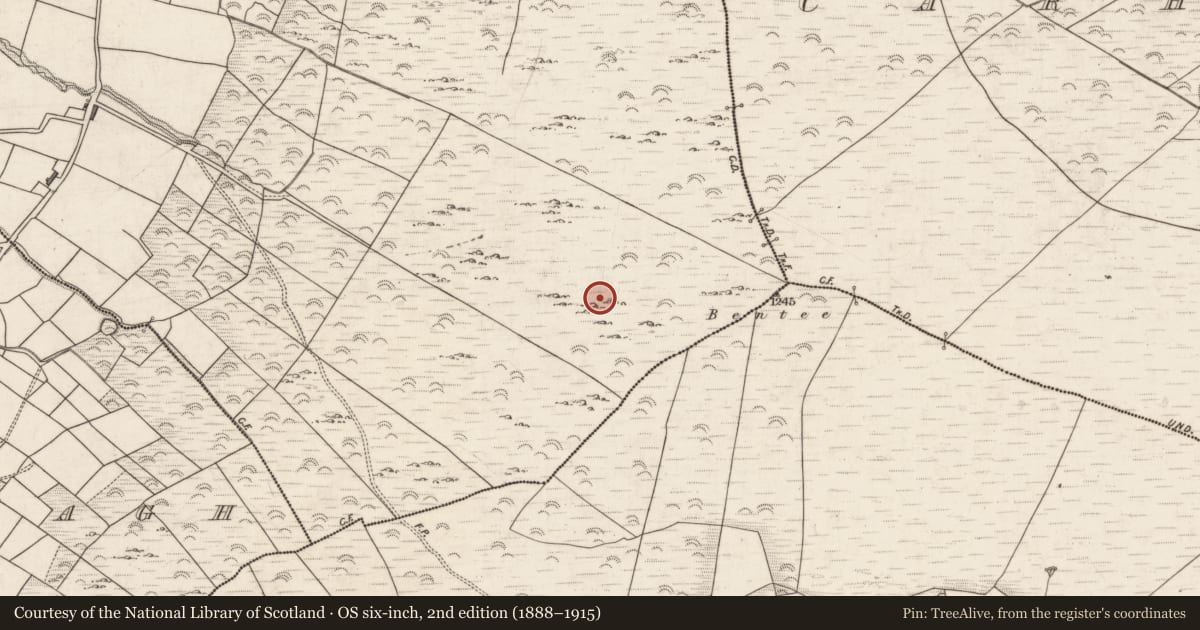 Ordnance Survey six-inch map, 2nd edition (1888–1915) covering the location of Hut site, Garranebane, County Kerry, with a pin at the register's coordinates