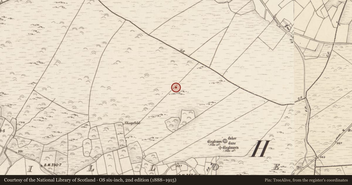 Ordnance Survey six-inch map, 2nd edition (1888–1915) covering the location of Hut site, Killoe, County Kerry, with a pin at the register's coordinates
