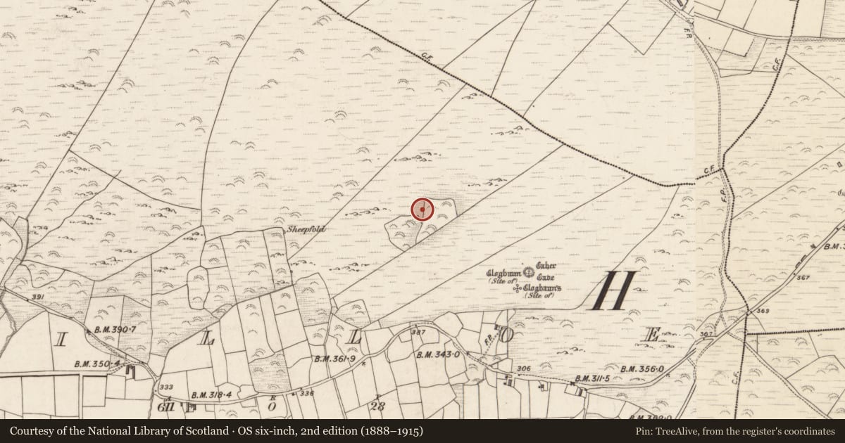 Ordnance Survey six-inch map, 2nd edition (1888–1915) covering the location of Hut site, Killoe, County Kerry, with a pin at the register's coordinates
