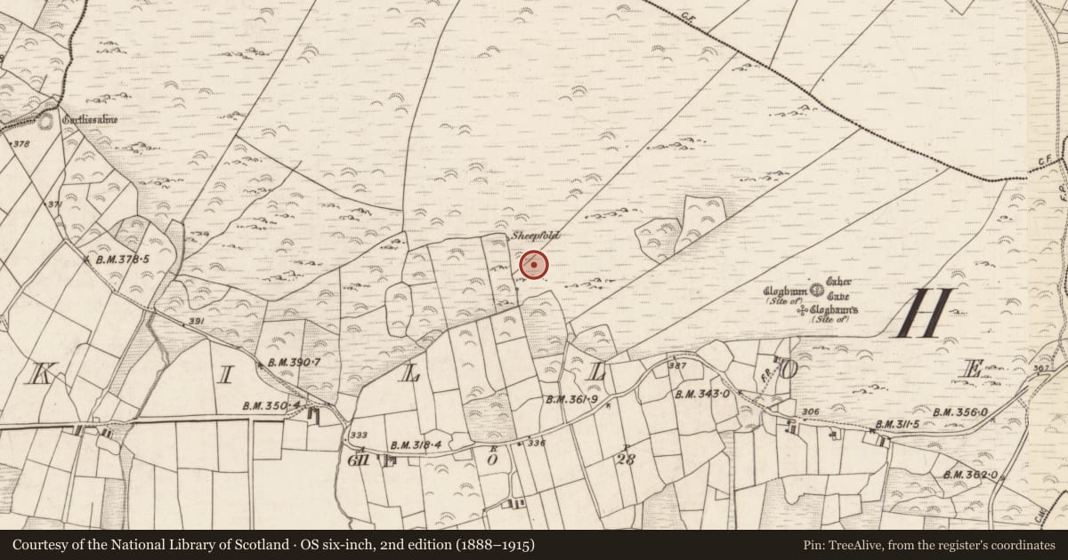 Ordnance Survey six-inch map, 2nd edition (1888–1915) covering the location of Megalithic tomb - wedge tomb, Killoe, County Kerry, with a pin at the register's coordinates