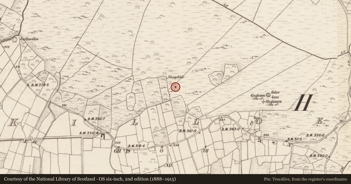 Ordnance Survey six-inch map, 2nd edition (1888–1915) covering the location of Field boundary, Killoe, County Kerry, with a pin at the register's coordinates