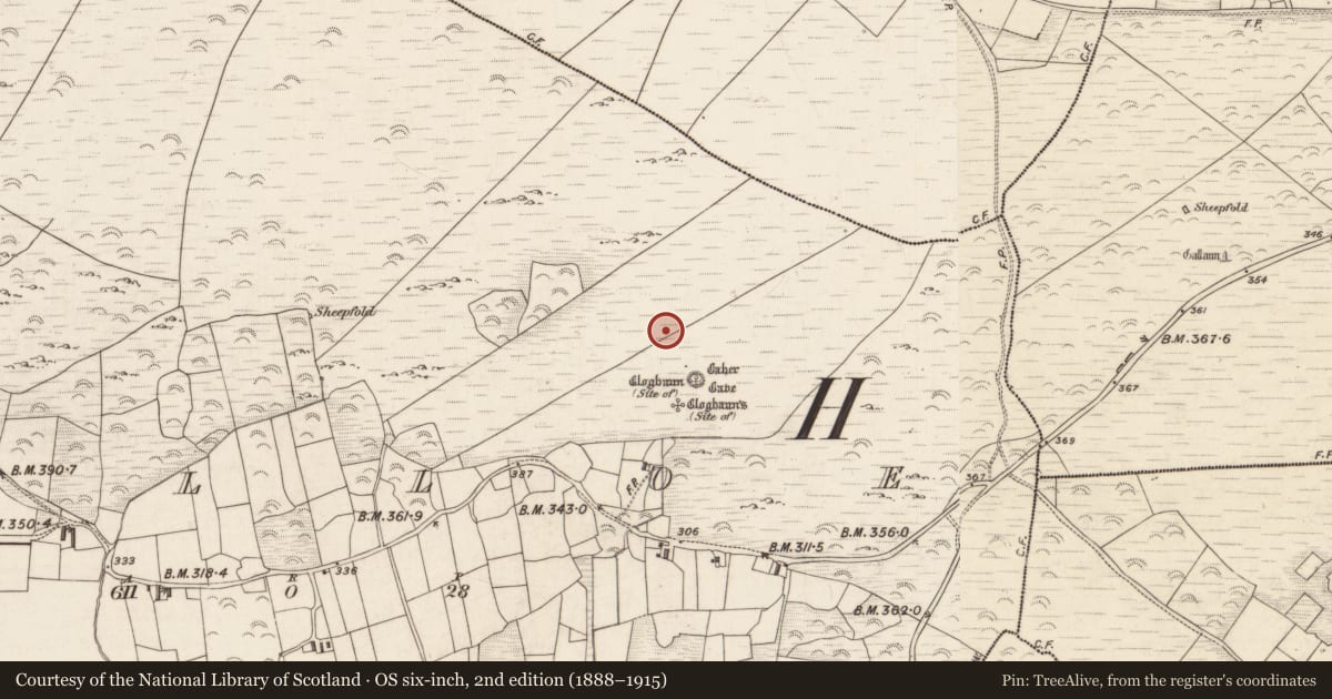 Ordnance Survey six-inch map, 2nd edition (1888–1915) covering the location of Hut site, Killoe, County Kerry, with a pin at the register's coordinates