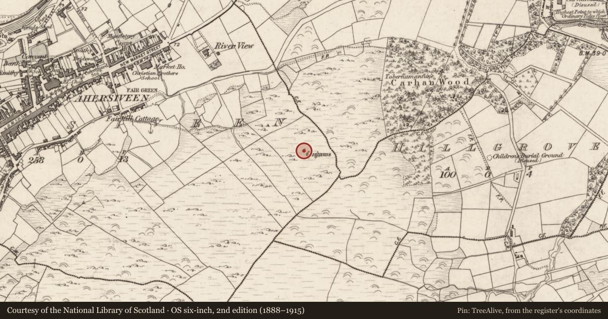 Ordnance Survey six-inch map, 2nd edition (1888–1915) covering the location of Hut site, Cahersiveen, County Kerry, with a pin at the register's coordinates