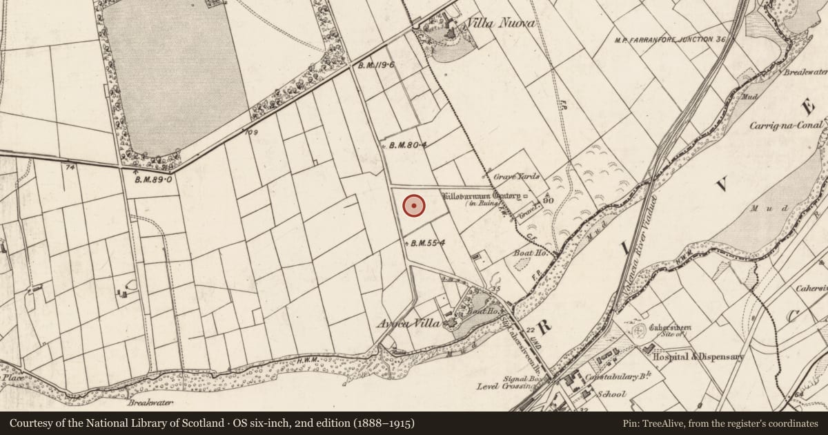 Ordnance Survey six-inch map, 2nd edition (1888–1915) covering the location of Burnt spread, Castlequin, County Kerry, with a pin at the register's coordinates