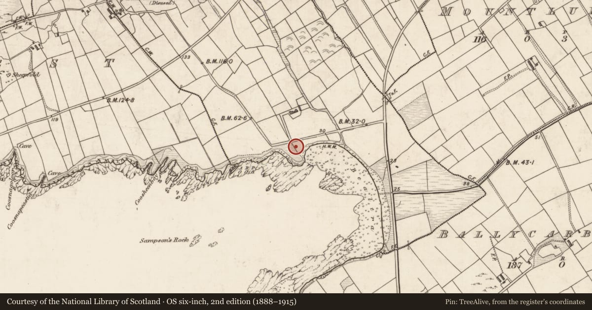 Ordnance Survey six-inch map, 2nd edition (1888–1915) covering the location of Promontory fort - coastal, Killelan East, County Kerry, with a pin at the register's coordinates