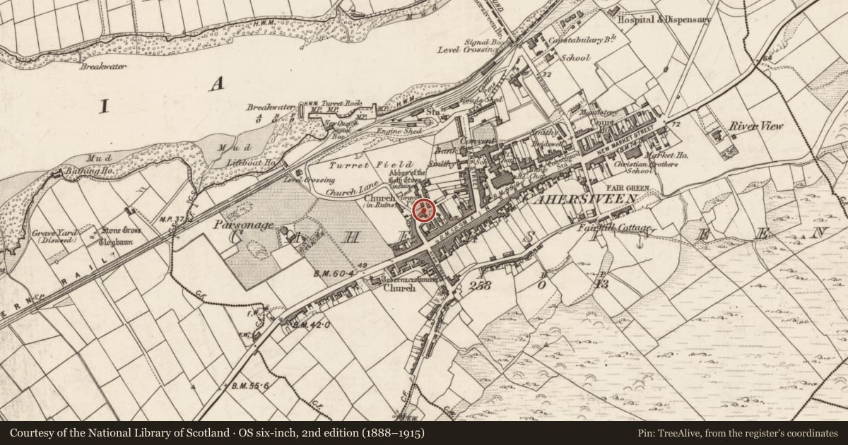 Ordnance Survey six-inch map, 2nd edition (1888–1915) covering the location of Church, Cahersiveen, County Kerry, with a pin at the register's coordinates