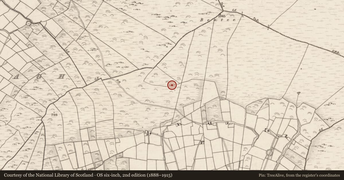 Ordnance Survey six-inch map, 2nd edition (1888–1915) covering the location of Hut site, Letter, County Kerry, with a pin at the register's coordinates