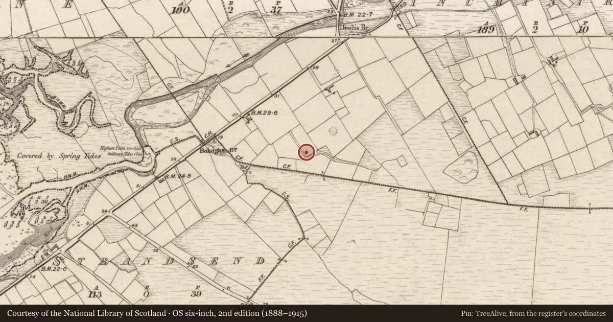Ordnance Survey six-inch map, 2nd edition (1888–1915) covering the location of Ringfort - rath, Deelis, County Kerry, with a pin at the register's coordinates