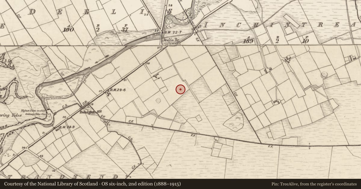Ordnance Survey six-inch map, 2nd edition (1888–1915) covering the location of Enclosure, Deelis, County Kerry, with a pin at the register's coordinates