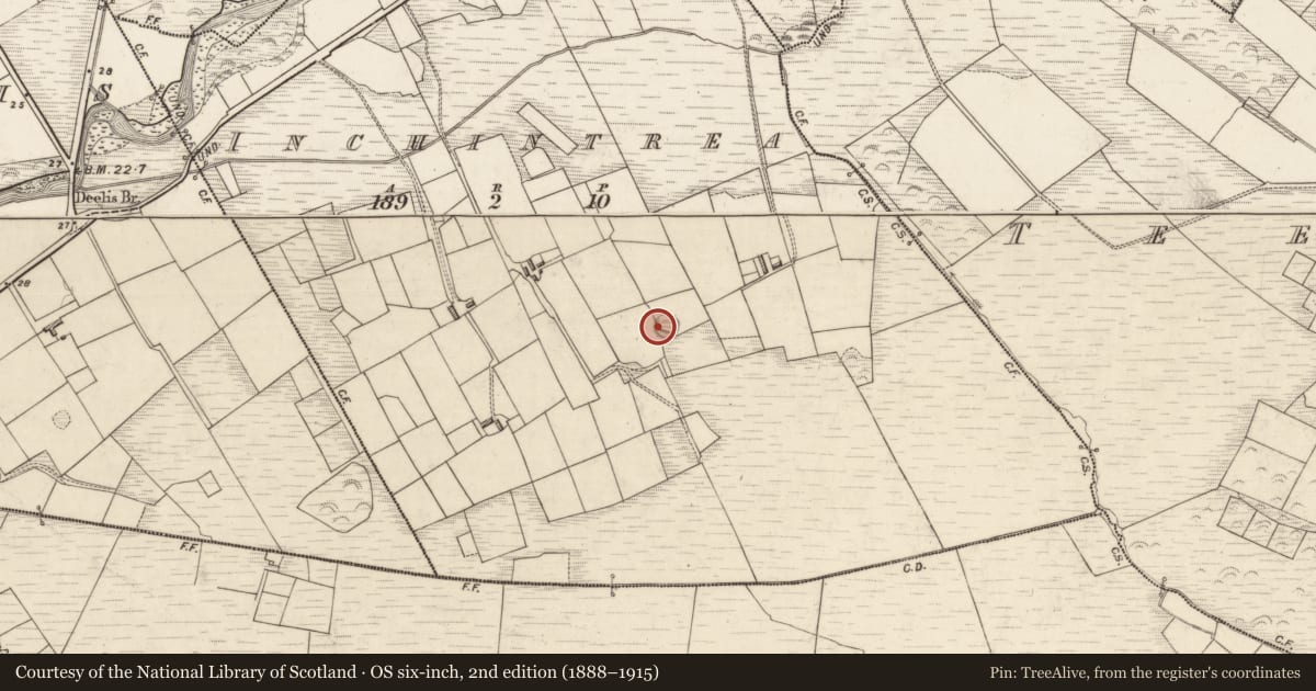 Ordnance Survey six-inch map, 2nd edition (1888–1915) covering the location of Ringfort - rath, Inchintrea, County Kerry, with a pin at the register's coordinates
