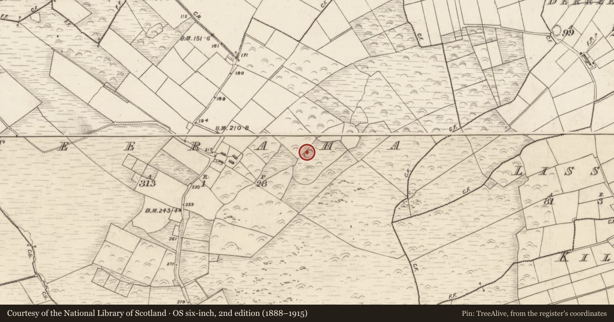 Ordnance Survey six-inch map, 2nd edition (1888–1915) covering the location of Hut site, Teeraha, County Kerry, with a pin at the register's coordinates