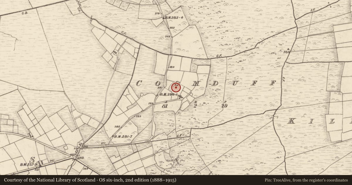 Ordnance Survey six-inch map, 2nd edition (1888–1915) covering the location of Ringfort - rath, Coomduff, County Kerry, with a pin at the register's coordinates