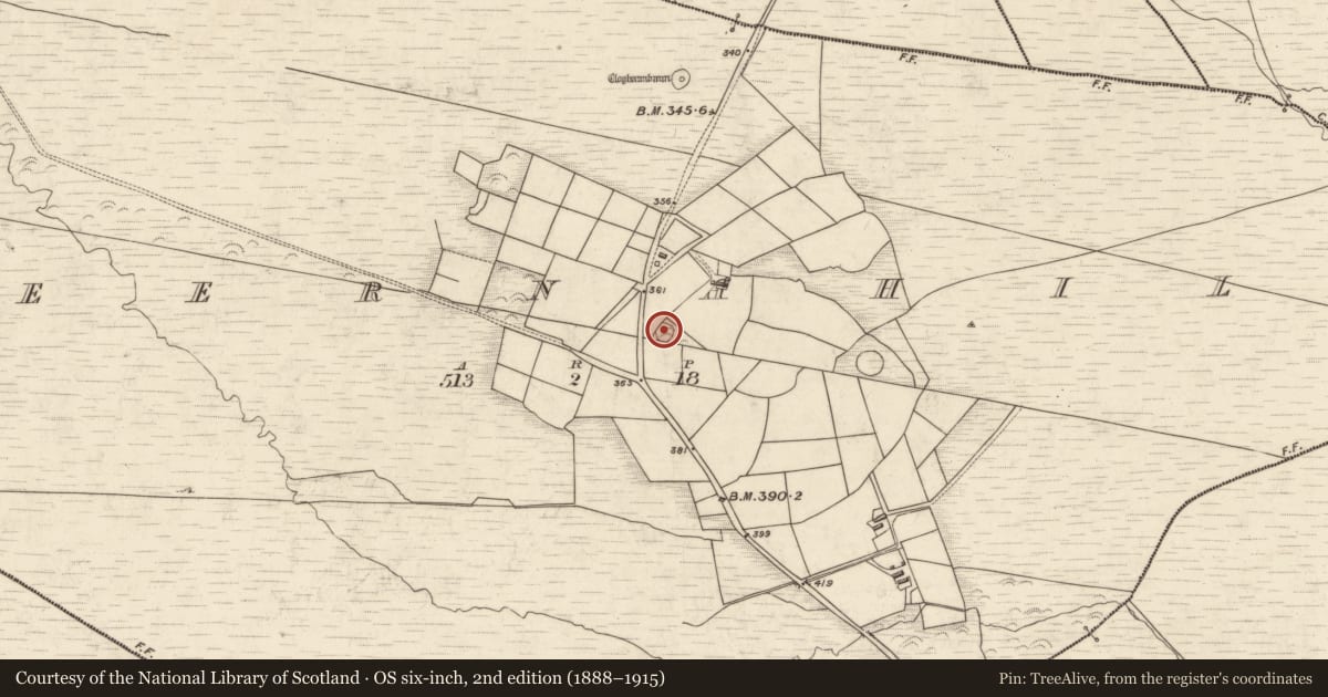 Ordnance Survey six-inch map, 2nd edition (1888–1915) covering the location of Ringfort - rath, Teernahila, County Kerry, with a pin at the register's coordinates