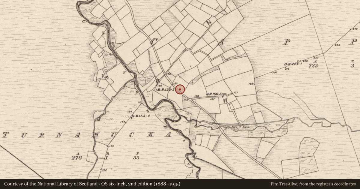 Ordnance Survey six-inch map, 2nd edition (1888–1915) covering the location of Cist, Cappagh, County Kerry, with a pin at the register's coordinates