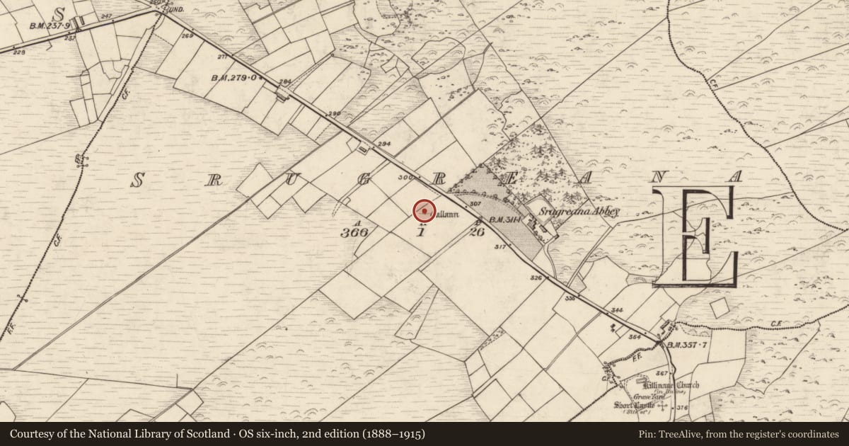 Ordnance Survey six-inch map, 2nd edition (1888–1915) covering the location of Standing stone, Srugreana, County Kerry, with a pin at the register's coordinates